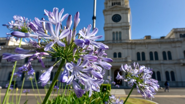 Este viernes se celebra el Día del Trabajador Estatal y no hay actividad en la administración entrerriana