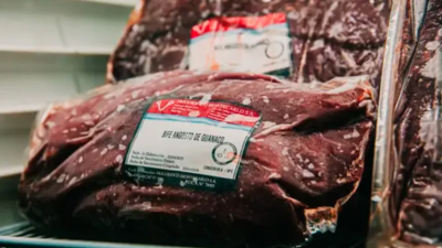 Una provincia impulsa la venta de carne de jabalí y guanaco: los precios