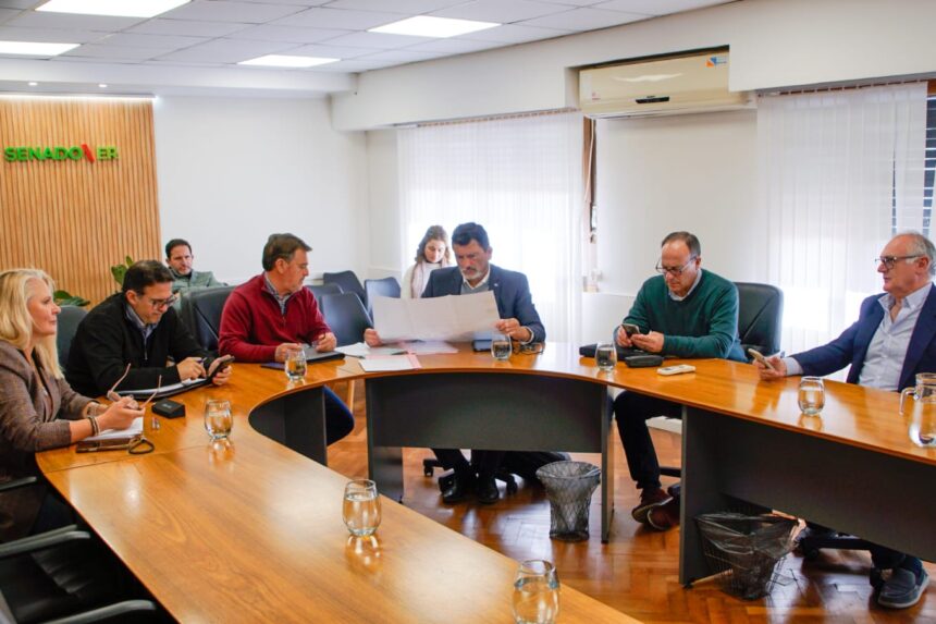 Dictamen favorable para proyectos productivos