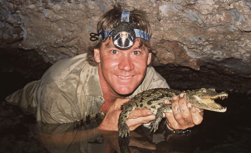 La leyenda de Steve Irwin, “el cazador de cocodrilos”: el hombre que desafió a los animales más peligrosos y su inesperada muerte