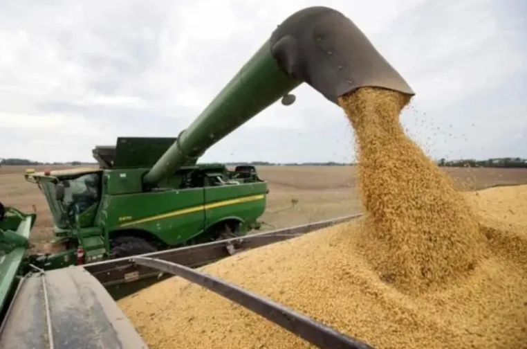Soja: proyectan una siembra de 17 millones de hectáreas, pero El Niño podría condicionar