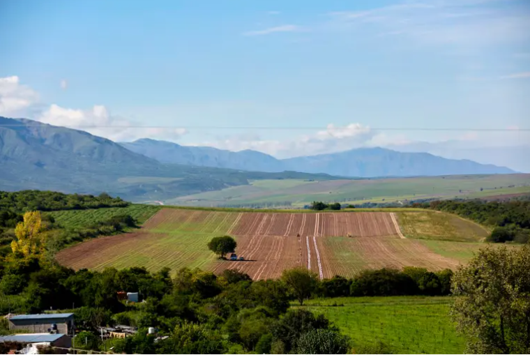 La Corte Suprema suspendió la derogación de la Ley de Tierras