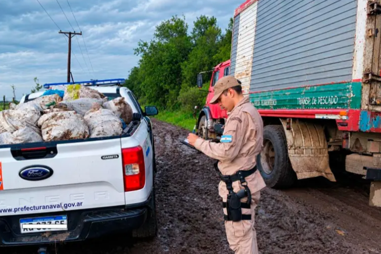 Incautaron 710 kilos de pescados en Gualeguaychú: el camión tenía la cámara frigorífica apagada